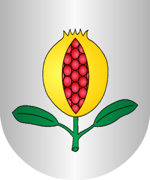 ESCUDO ALEATORIO
